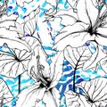 Floral Black and White Pattern. Blue Artistic Royalty Free Stock Photo