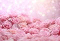 Card beauty floral spring blossom rose flower pink background love valentine nature background Royalty Free Stock Photo