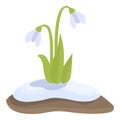 Floral blossom icon cartoon vector. Snowdrop flower