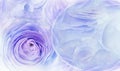 Floral blue  background. A bouquet of  roses  flowers.  Close-up.  Flower composition. Royalty Free Stock Photo