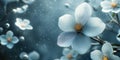 Floral blue background, white flowers close-up, bokeh Royalty Free Stock Photo