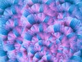 Floral blue-purple  background. A bouquet of  blue and pink  petals  flowers.  Close-up.   floral collage.  Flower composition. Royalty Free Stock Photo