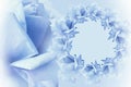 Floral blue-white beautiful background. Flower composition. Frame of blue flowers roses on light blue background. Rose clo Royalty Free Stock Photo