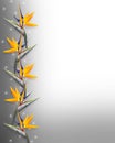 Floral border Bird Of Paradise Strelitzia Royalty Free Stock Photo