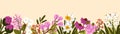 Floral border, botanical background. Blossomed nature banner. Spring and summer blooming plants, beautiful flora Royalty Free Stock Photo