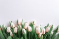 Floral border from bouquet of pink tulips on white background. Anniversary celebration concept. Copy space. Top view Royalty Free Stock Photo