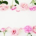 Floral border frame made of pink roses on white background. Flat lay, Top view. Valentines day composition Royalty Free Stock Photo