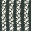Floral border. Green eucalyptus, small white flowers, magnolia, sakura. Floral border on a dark background. Royalty Free Stock Photo