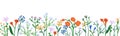 Floral border, horizontal botanical decoration. Spring field and meadow flowers, natural decor, panorama. Fragile