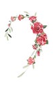 Love. Isolate floral border on a white background.