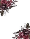 Floral border made in vintage Victorian goth style. Watercolor burgundy, red, maroon, and black roses frame Royalty Free Stock Photo