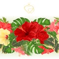 Floral border seamless background with blooming various hibiscus and tropical leaves vector Illustration for use in interior desi Royalty Free Stock Photo