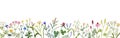 Floral border with spring wild flowers. Botanical banner with herbal plants, blooms for decoration. Delicate field and