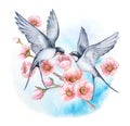 floral border Swallow witt flowers. Couple in love. Birds in flight isolated on white background. Watercolor Royalty Free Stock Photo