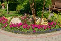 Floral border with a tree in the middle next to a wooden bench in the park on a sunny summer day