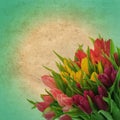 Floral border with tulip flowers. retro style picture