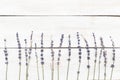 Floral border. Twigs of lavender on a white wooden background