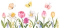 Floral border. The watercolor illustration features assorted spring flowers and butterflies. Botanical frame Royalty Free Stock Photo