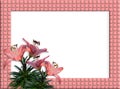 Floral Border woven frame Pink Lilies Royalty Free Stock Photo