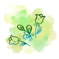 Floral botanical flower campanula and leave on watercolor green splash. Isolated illustration element. Line art hand Royalty Free Stock Photo