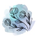 Floral botanical flower on watercolor blue blobs. Isolated illustration element. Line art hand drawing wildflower on Royalty Free Stock Photo