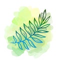 Colorful line art palm Leave on green watercolor blob. Linear hand drawing tropical Leaf on white background Royalty Free Stock Photo