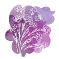 Floral botanical white calendula flower on purple watercolor splash and blot. Isolated illustration element. Line art