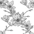 Floral Botany Illustration. Magnolia Flower Drawings. Botanical Illustration for Greeting Card, Prints, Posters.