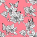 Floral Botany Illustration. Magnolia Flower Drawings. Botanical Illustration for Greeting Card, Prints, Posters.