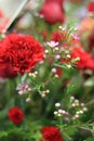 carnations waxfleurs 8018 Royalty Free Stock Photo