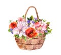 Floral bouquet in basket - summer flowers. Vintage design for print, Mothers day card. Watercolor Royalty Free Stock Photo