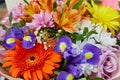 Floral bouquet of colorful bright flower. floristic arrangement closeup. gerbera, rose, irises, orange alstroemeria Royalty Free Stock Photo