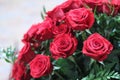 Roses 100 red 7565