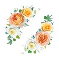 Floral bouquet. Peach, orange, yellow garden rose flowers, greenery eucalyptus leaves bouquet. Watercolor style editable vector