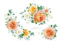 Floral bouquet of peach, orange, yellow, white garden rose flowers, green eucalyptus leaves. Watercolor style vector illustration Royalty Free Stock Photo