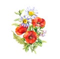 Floral bouquet - poppies, chamomile wild flowers. Watercolor for poster, t-shirt, sticker design Royalty Free Stock Photo