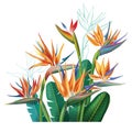 Floral bouquet with Strelitzia flowers