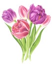 Floral bouquet with tulips, watercolor painting.