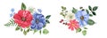 Floral bouquet, watercolor illustration. Red, white and blue flowers arrangement. Botanical painting Royalty Free Stock Photo