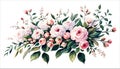 Floral bouquet, watercolor vector illustration. Pink roses flowers arrangement. Royalty Free Stock Photo