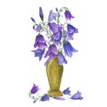 Floral bouquet in yellow ceramic pot. Campanula, harebell, bell flowers. Meadow plants in vase for interior decor, for label, logo