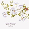 Floral branch of beautiful white wild rose with rose hips on white background, close-up