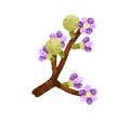 Floral branch in bloom. Beautiful spring blossom on tree twig. Delicate gentle summe flowers on sprig. Botanical