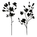 Floral branches spring silhouette set