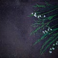 Floral bstract dark grunge background with Lily of the valley