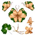 Floral butterfly made from bizarre curved extruded dried lily pe