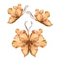 Floral butterfly made from bizarre curved extruded dried lily pe Royalty Free Stock Photo