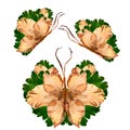 Floral butterfly made from bizarre curved extruded dried lily pe