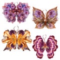 Floral butterfly made dried lily petals pressed Petunia flower