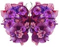 Floral butterfly made dried lily petals pressed Petunia flower Royalty Free Stock Photo